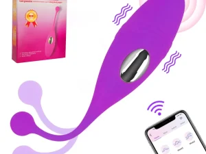 Phone App Control Sex Toys